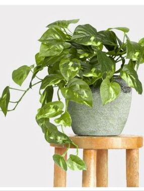 New Natural Touch 21" Trailing Variegated Marble Potho Artificial Fake Plant